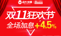 双十一网购狂欢节