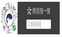 鲸吞网：快时代，想用一些“慢”的文字将其细细记录