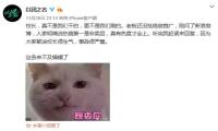 王思聪怒骂优酷买热搜 官方回应叫屈“真不是我们干的” 