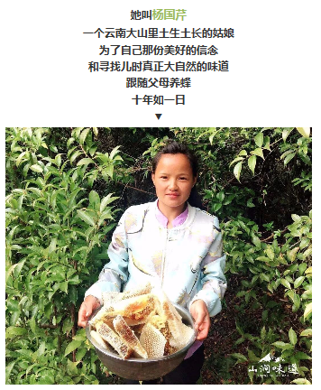图片8