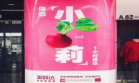 吹嘘的广告千篇一律，可爱的文案百里挑一