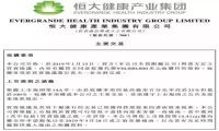从“住”到“行” 恒大投资NEVS的背后逻辑
