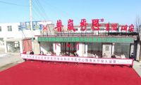 雄安300亿地方债