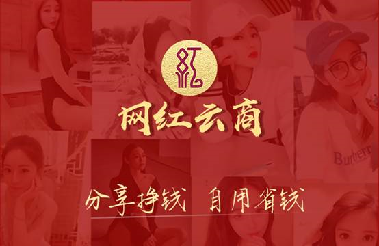 网红云商拿下2019年度创新创业最具投资力项目奖项
