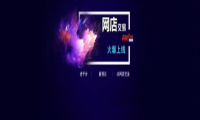 老平台，新项目--A5网店交易上线！