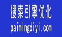 专业SEO网站“排名第一”上线