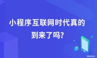 云蚁小程序2019年终观察报告