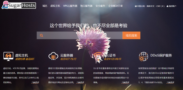 网络优化