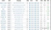 逆冬：分享快速排名两大干货 单词+整站上排名实战讲解