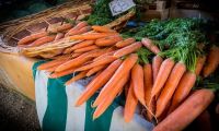 盒马暂停深圳21家门店营业