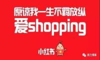 适合新手操作的小红书博主流量变现副业玩法