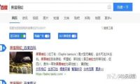 关键词词频
