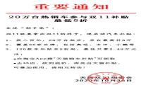 天猫双11启动20万台汽车补贴活动