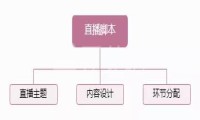 抖音直播脚本的重要性