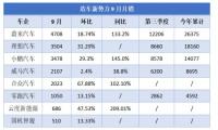 蔚来汽车庄莉离职