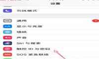 苹果ios14锁屏怎么换成4位数密码