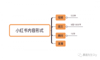 小红书平台新趋势最全视频笔记解析指南
