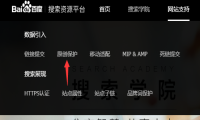 抄袭站