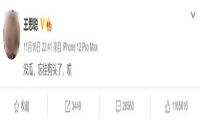 王思聪评论，半藏森林被骂上热搜，暴涨30万粉丝？