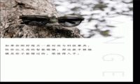 BANGE半格智能音乐眼镜体验：时尚与科技的完美呈现