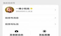 左手内容，右手流量，“一禅小和尚”们的IP价值增长之路