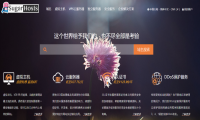 海外主机的鼎立之势，你最眼熟的是不是他？