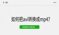 如何把avi转换成mp4？简单转换方法看这里