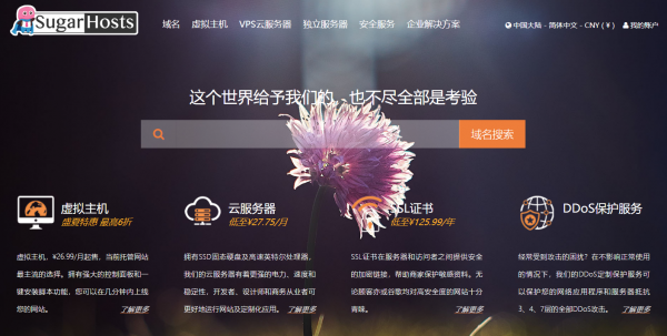 安全感爆棚！分享那些安全服务超频的海外虚拟主机！