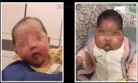 一天狂涨百万粉丝，抖音大号「老爸评测」做了什么？