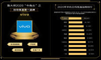 谁才是终极赢家？鲁大师2020年度排行榜解析
