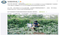 李子柒刷新最多订阅量的 YouTube 中文频道