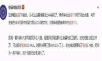小米11青春版价格多少怎么样