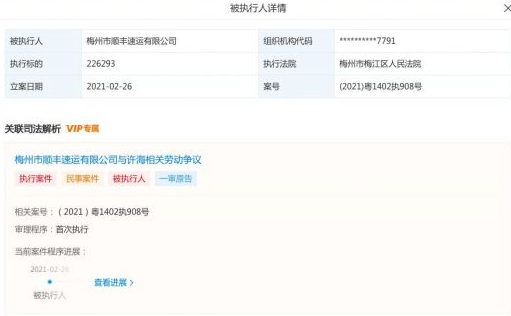 顺丰速运关联公司成被执行人