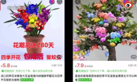 揭秘电商平台假苗木陷阱 靠售假花、假树苗月赚几十万