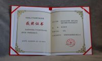唯一安全项目|绿盟科技荣获2020年中国电子学会科学技术一等奖