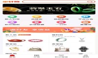 宝轩拍--全品类文玩艺术拍卖平台