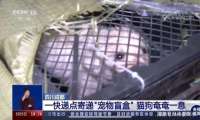 快递成“睁眼瞎”中通快递因宠物盲盒被约谈
