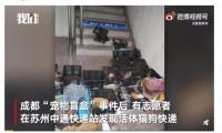中通回应苏州一快递站再现宠物盲盒 包裹被退回