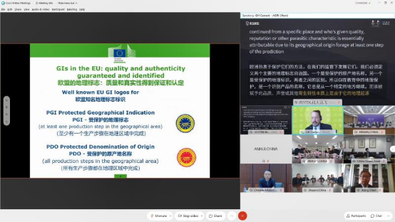 讯飞听见同传打破跨语言交流障碍，闪耀中欧交流会