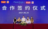 让「连接」更低成本，蓝牙技术风起IoT