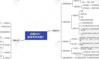 白杨SEO：如何批量制作网站或自媒体文章获取流量？【参考】