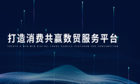 宁夏数贸电子商务服务有限公司：拥抱数字化，引领新浪潮！