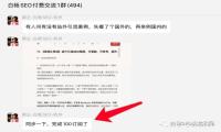 白杨SEO：半天多完成100份订阅的《全网SEO可参考案例库》是什么？