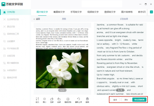 图片翻译成中文，原来只需要两步操作，太简单了