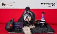 HyperX携手P.L.A.Y. 开展业界首次创意宠物玩具项目合作