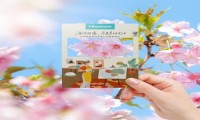 定档4月10日！海信视像即将发布全场景显示解决方案