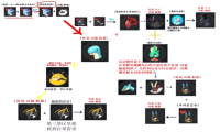 幻兽帕鲁佩克龙