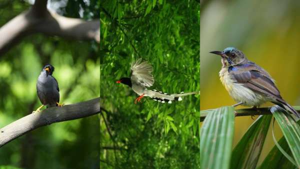 1728530646221084669.jpg 1728530646221084669.jpg