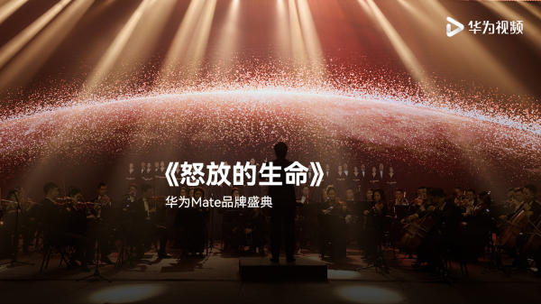 微信图片_20241126194646.jpg 微信图片_20241126194646.jpg