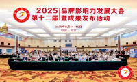 品牌影响力发展大会
